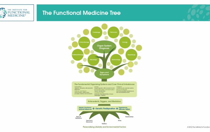 What Is functional Medicine Tree